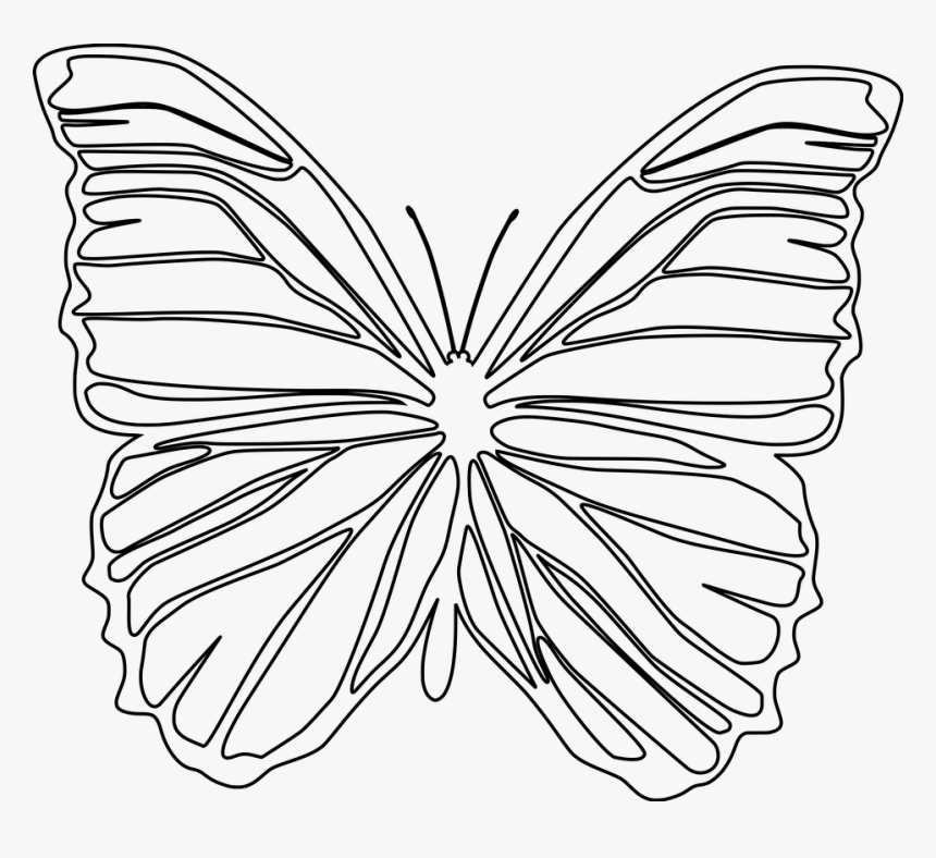 Mariposa By Creaciones Jean - Brush-footed Butterfly, HD Png Download, Free Download