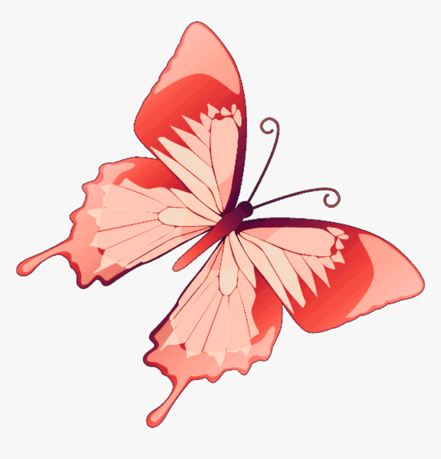 #butterfly #mariposa #diurna #day #diurnal #spring - Butterfly Vector, HD Png Download, Free Download