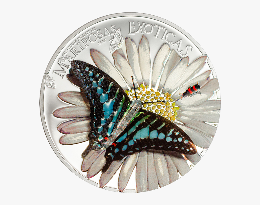 Equatorial Guinea 2015 1000 Francos Exotic Butterflies - Silver Coin, HD Png Download, Free Download