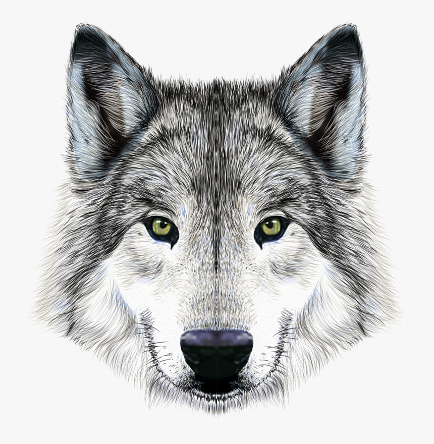 Transparent Big Bad Wolf Clipart - Wolf Face, HD Png Download, Free Download
