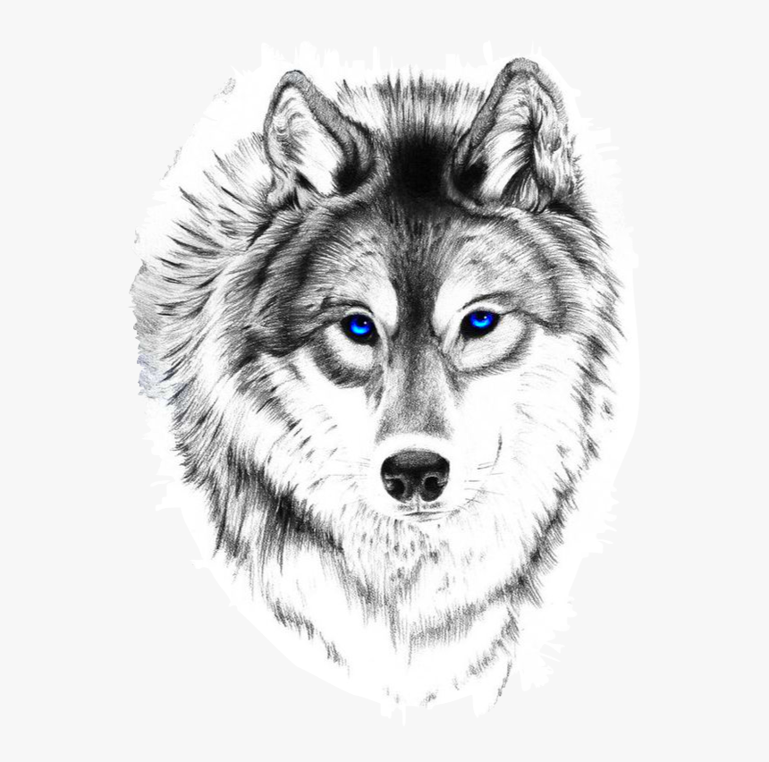 Wolf And Moon Tattoo, Wolf Face Tattoo, Wolf Tattoo - Blue Eyed Wolf Tattoo, HD Png Download, Free Download