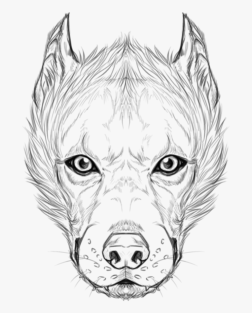 Faces Billee By Furiarossaandmimma - Sketch, HD Png Download, Free Download