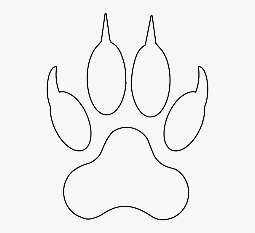 Paw, Claws, Claw, Wolf, Fox, Coyote, Canine - Transparent Fox Paw White, HD Png Download, Free Download