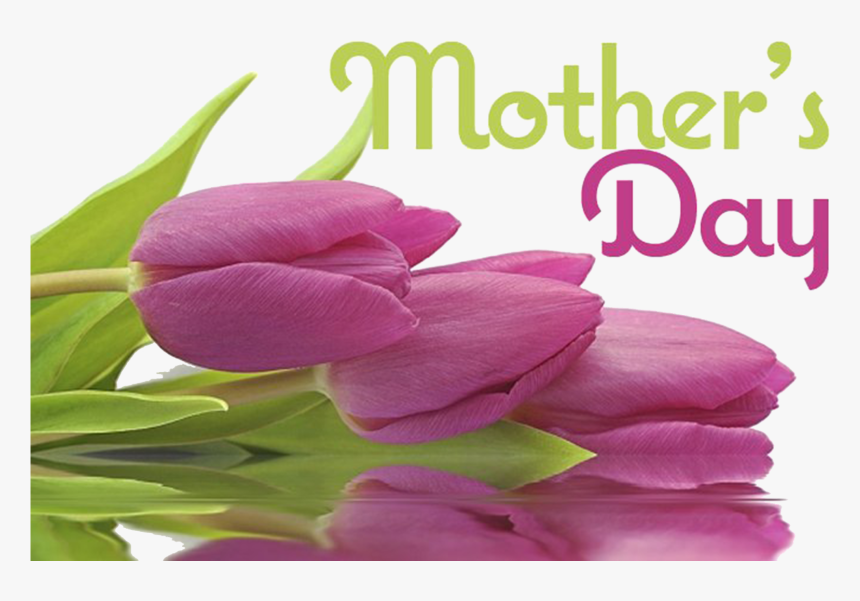 Closed For Mothers Day, HD Png Download, Free Download