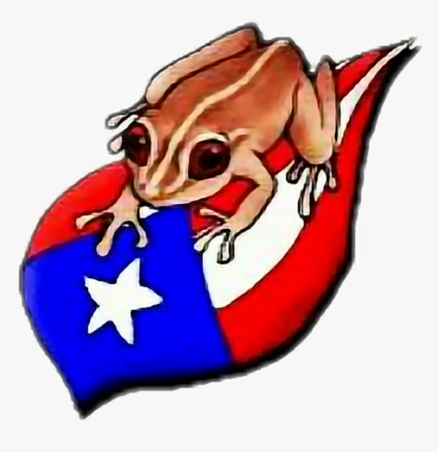 Transparent Puerto Rico Png - Coqui Puerto Rico Flag, Png Download, Free Download