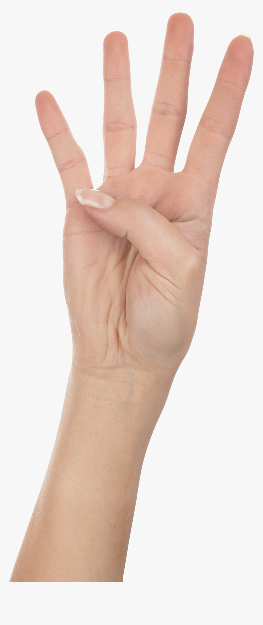 Four Finger Hand Png Image - 4 Finger Hand Png, Transparent Png, Free Download