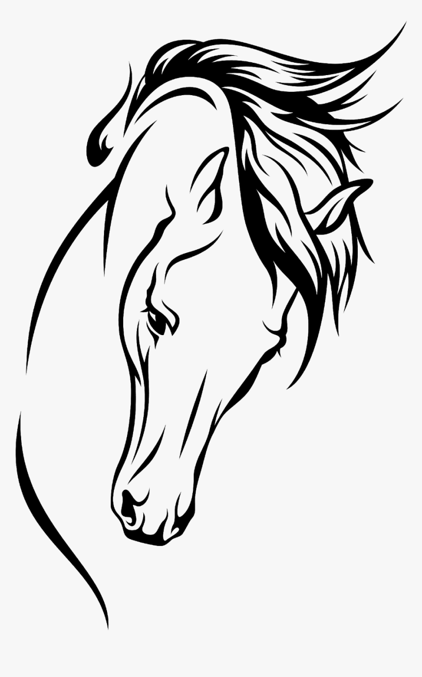 Arabian horse png images, horse meat, world arabian horse organization, mustang horse, arabian horse times, saudi arabian army, arabian horse association, tea horse road png. Arabian Horse Png : Arabian Horse Drawing Silhouette Clip Art Head Arabian Horse Silhouette Hd Png Download Kindpng