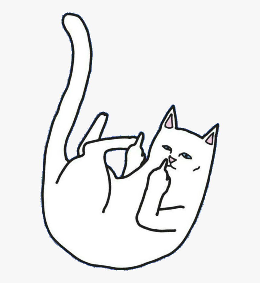 Middle Finger Cat - Rip N Dip Wallpaper Black, HD Png Download, Free Download