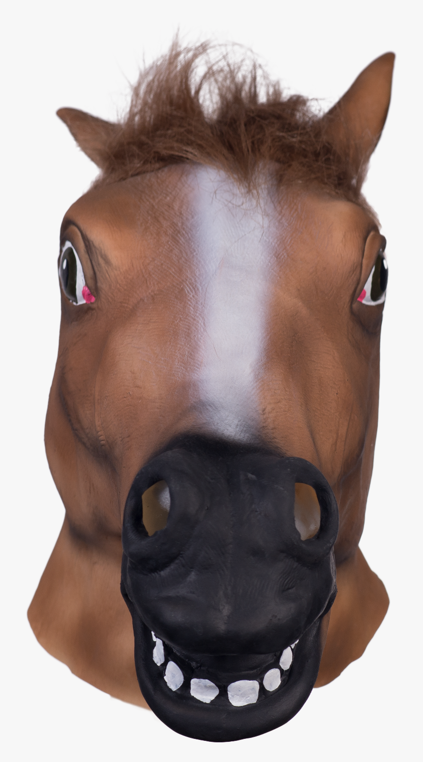 Grown-up Toys Accoutrements 12027 Accoutrements Horse - Pony Mask Transparent Background, HD Png Download, Free Download