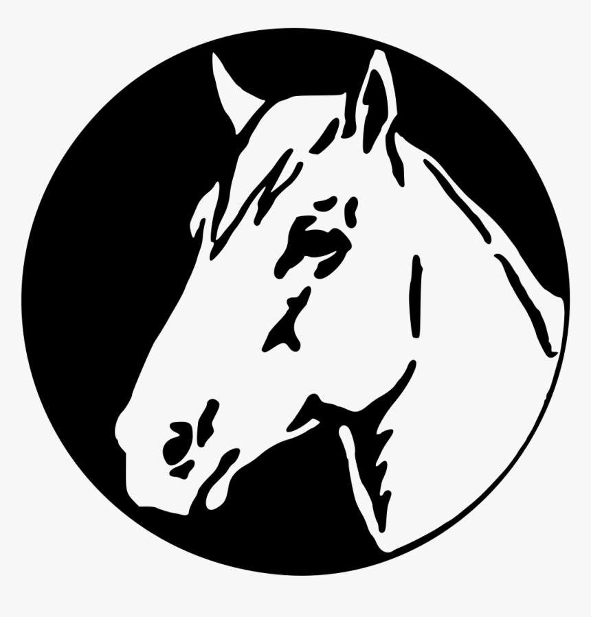 Horse Head - Cabeza Caballo Vector Png, Transparent Png, Free Download