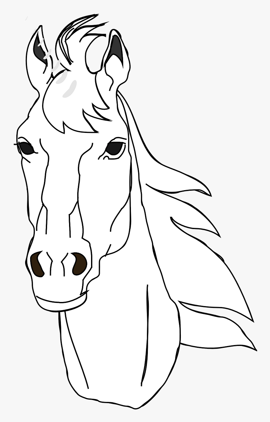 Cabeza De Un Caballo Para Dibujar, HD Png Download, Free Download