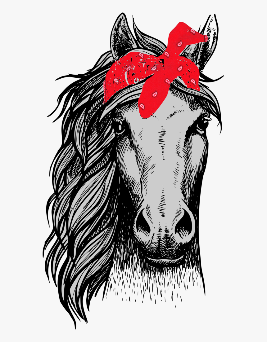 Horse Front View Drawing , Png Download - Horse Head Front Drawing, Transparent Png, Free Download