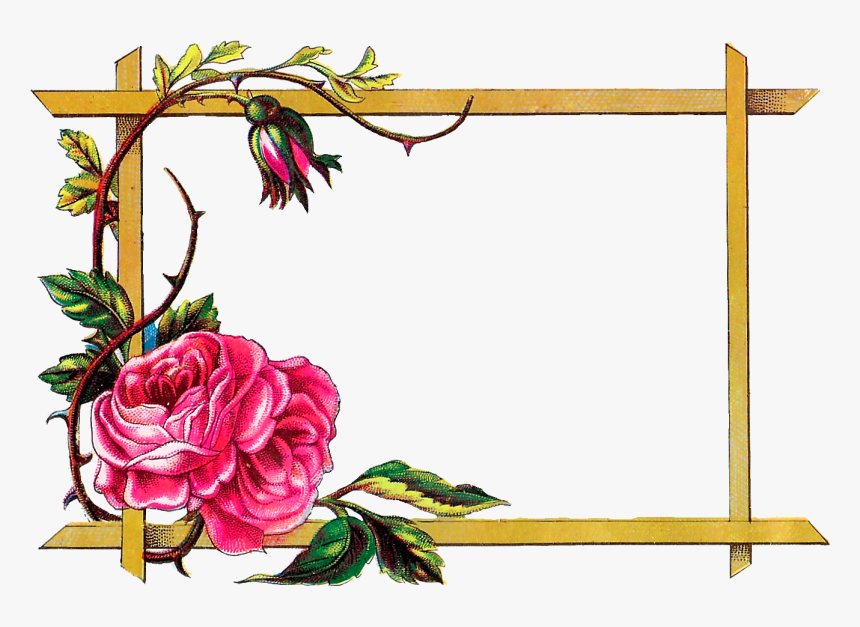 Rose Border Png, Transparent Png, Free Download