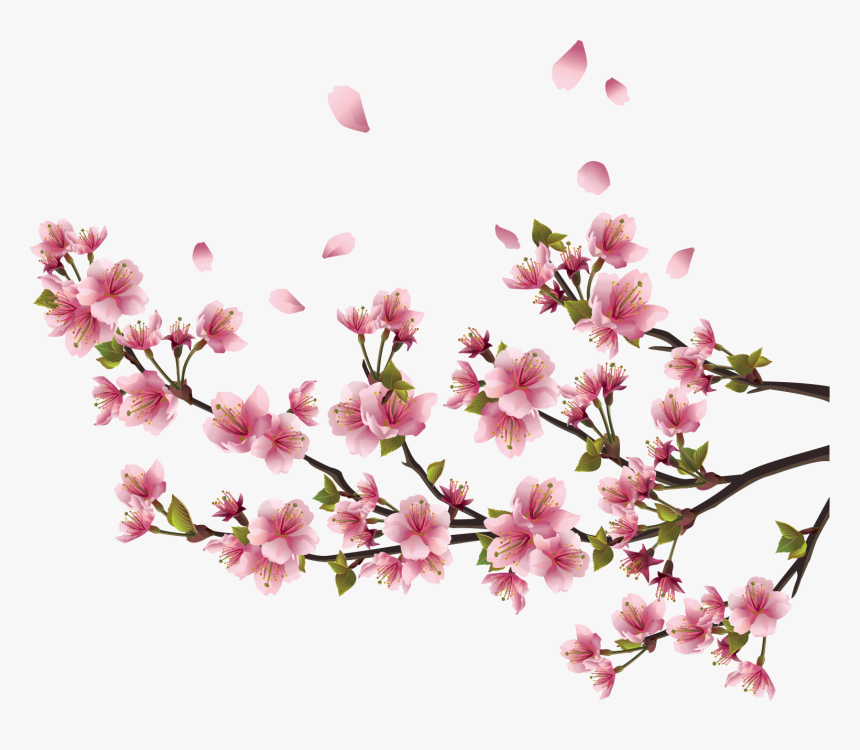 Sakura Png Free Background - Sakura Png, Transparent Png, Free Download