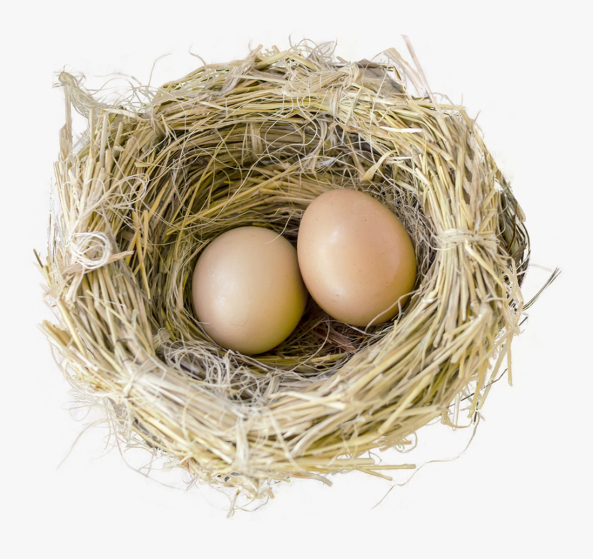 Bird Nest Png Image - Nest Transparent Background, Png Download, Free Download