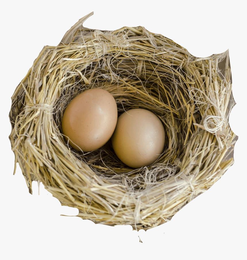 Nest Png - Bird Nest, Transparent Png, Free Download