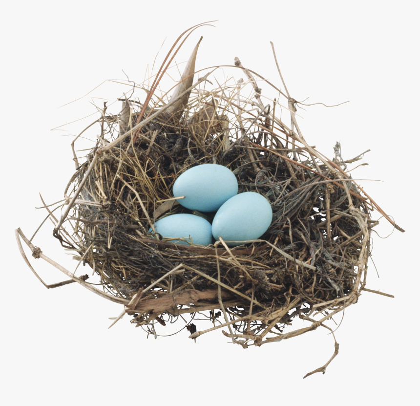 Bestnest Promo Code, HD Png Download, Free Download