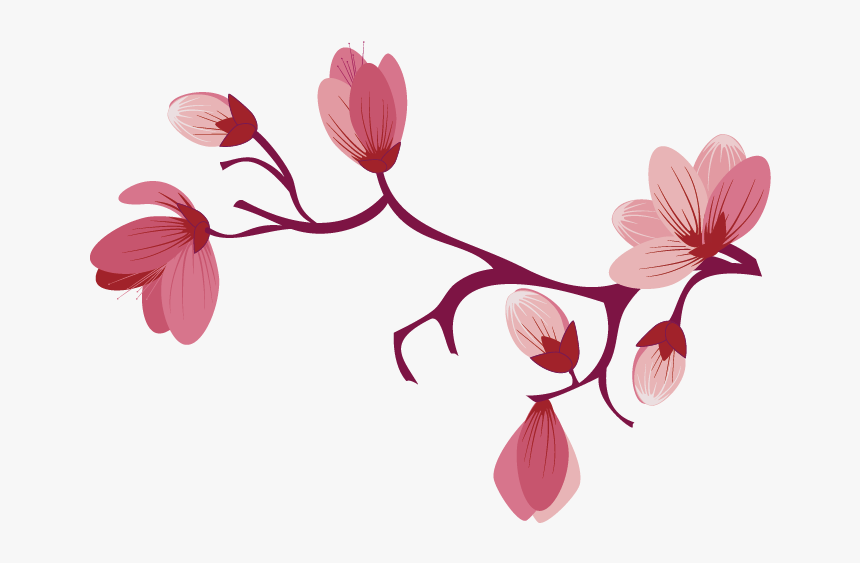 Transparent Sakura Clipart - Сакура Пнг, HD Png Download, Free Download