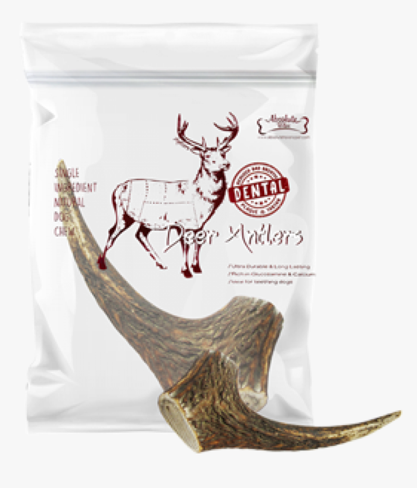 Antler, HD Png Download, Free Download