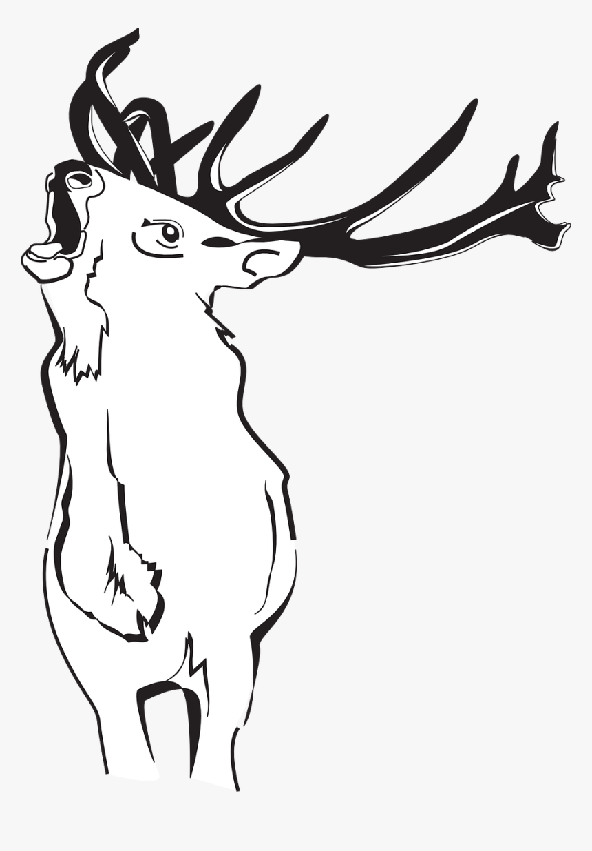 Deer, HD Png Download, Free Download