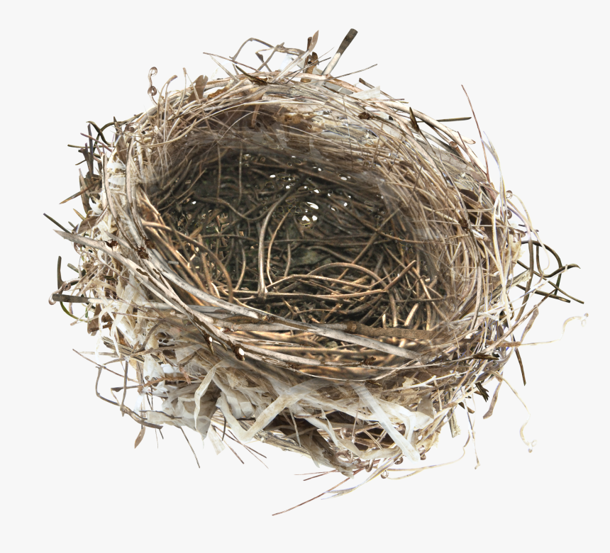 Nest Png Transparent Images - Bird Nest Transparent, Png Download, Free Download