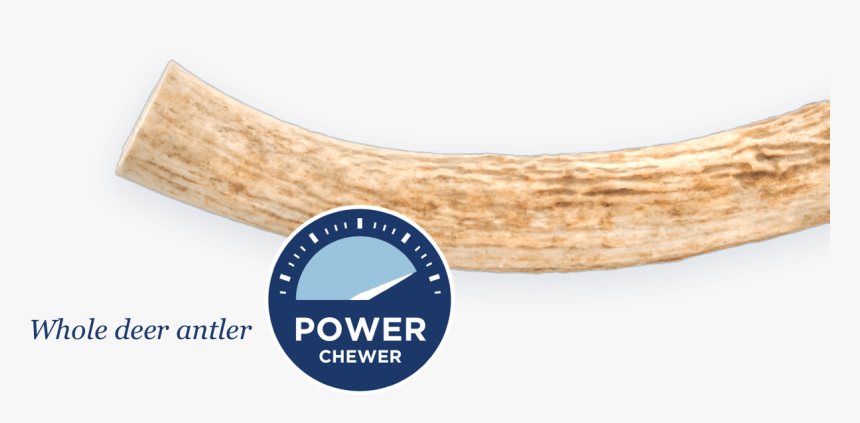 Plywood, HD Png Download, Free Download