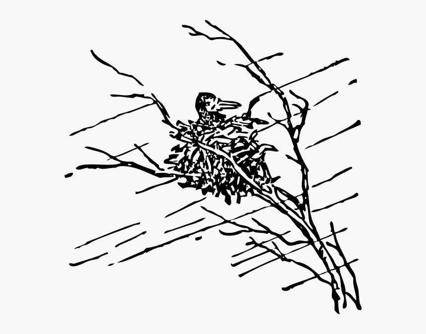 Bird In Nest Svg Clip Arts - Storm Clip Art Black And White, HD Png Download, Free Download