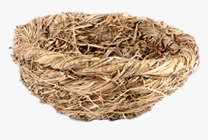 Bird Nest,nest - Png Image Bird's Nest Png, Transparent Png, Free Download