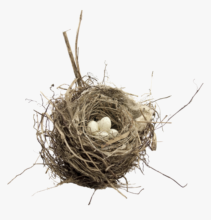 Bird Nest Transparent , Png Download - Birds Nest Transparent Background, Png Download, Free Download