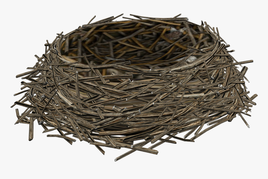 Birds Nest - Transparent Birds Nest Png, Png Download, Free Download