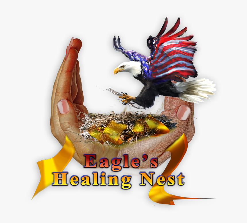 Eagles Healing Nest Logo, HD Png Download, Free Download