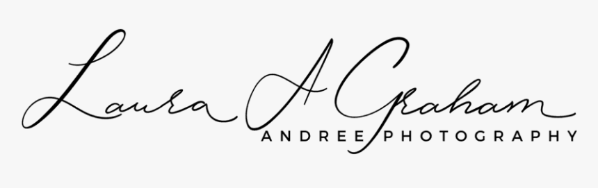 Andree Photography - Calligraphy, HD Png Download, Free Download