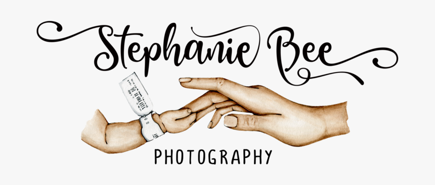 Photography Png, Transparent Png, Free Download
