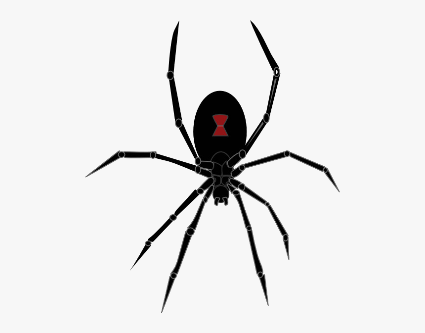 Spider Redback Southern Black Widow Clip Art Cartoon - Black Widow Spider Png, Transparent Png, Free Download