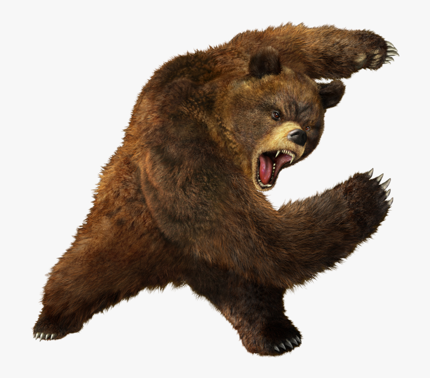 Vertebrate,brown Bear,grizzly Figure,kodiak Bear,fur,yawn - Bear Png, Transparent Png, Free Download