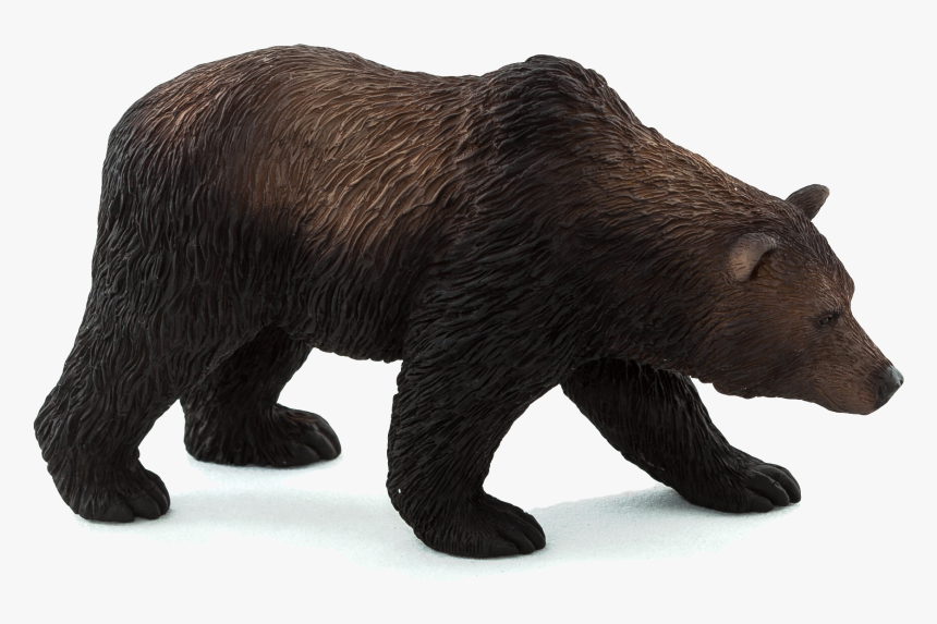 Mojo Fun Grizzly Bear, HD Png Download, Free Download