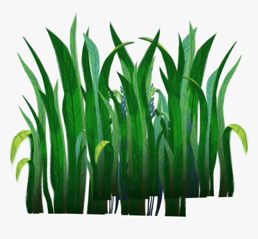 Transparent Long Grass Png - Grass, Png Download, Free Download