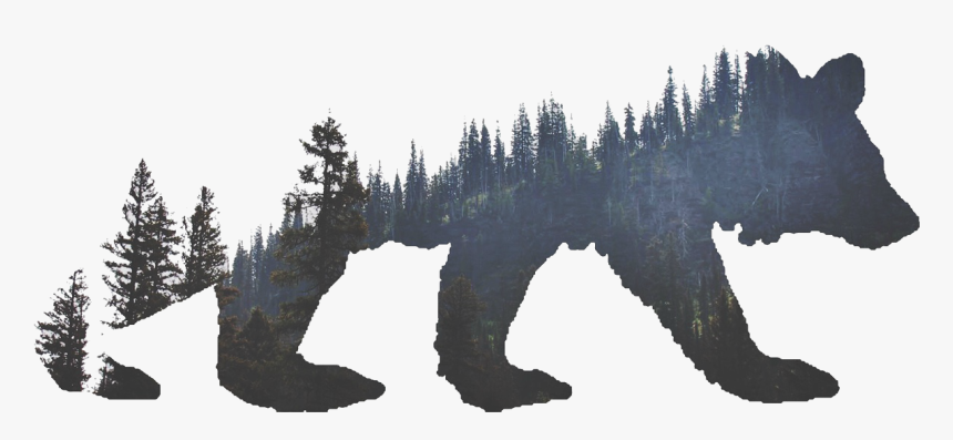 Tattoo Grizzly Bear Tiger American Woods California - Bear With Trees Tatoo, HD Png Download - kindpng Tattoo Grizzly Bear Tiger American Woods California - Bear With Trees Tatoo, HD Png Download - kindpng
