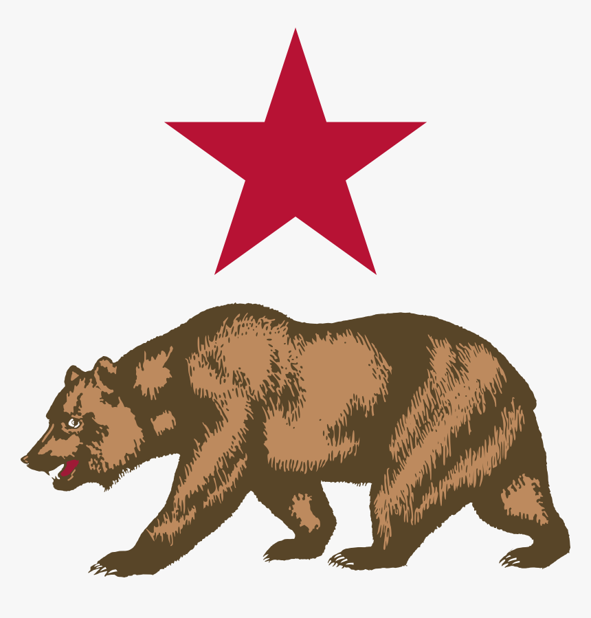 Star And Bear Clipart Clip Arts - California Grizzly Bear Drawing, HD Png Download, Free Download