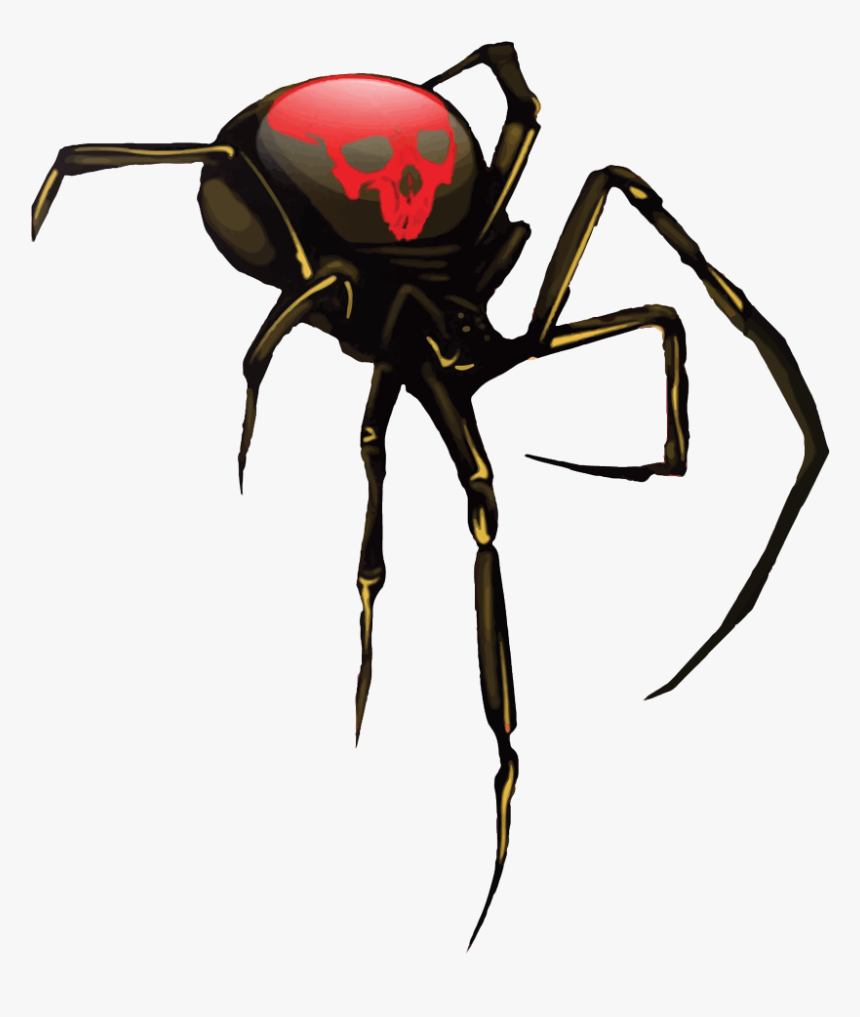 Black Widow Spider Png, Transparent Png, Free Download