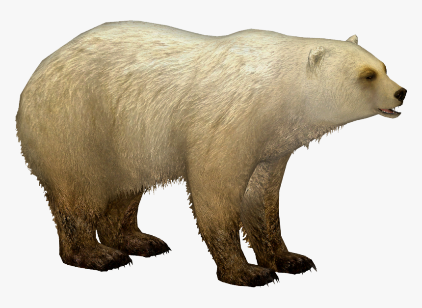 Grolar Bear - Zoo Tycoon 2 Grolar Bear, HD Png Download, Free Download