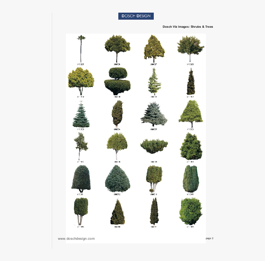 2 D Png Tree, Transparent Png, Free Download