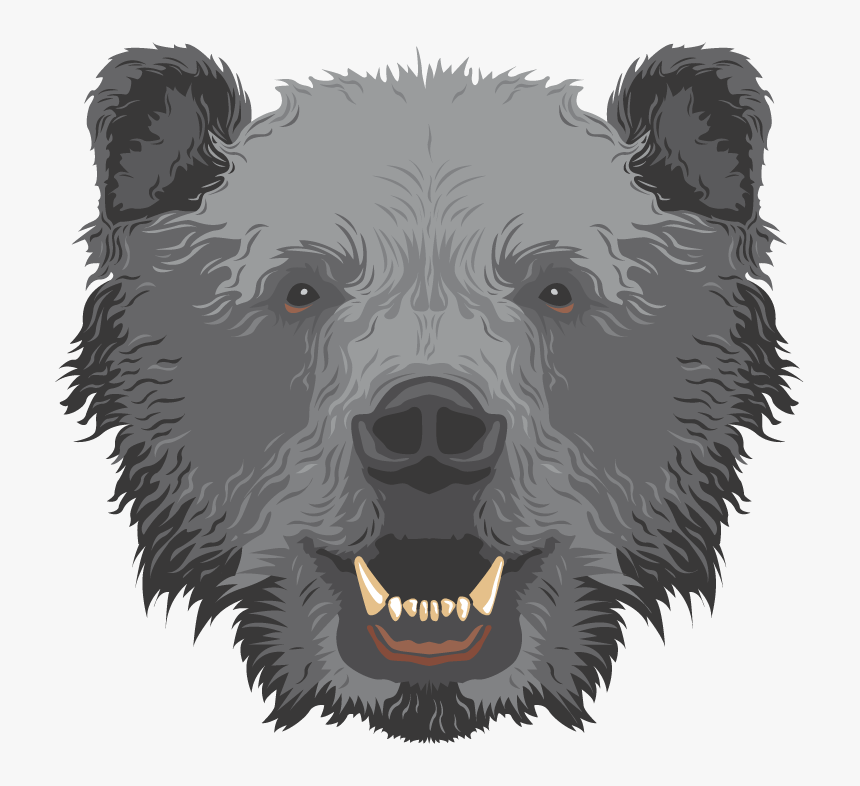 Transparent Polar Bear Clipart - Grizzly Bear, HD Png Download, Free Download