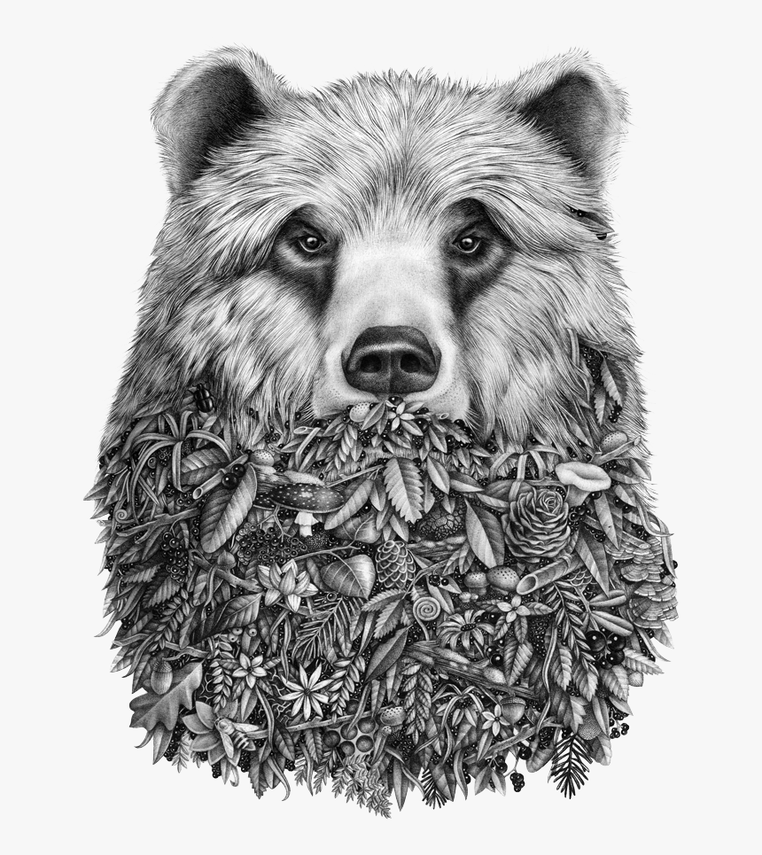 Grizzly Bear Png, Transparent Png, Free Download