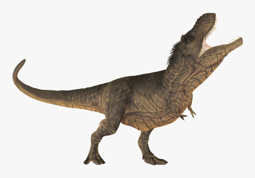 Dinosaur, Tyrannosaurus, Extinct, Dino, Animals, T-rex - T Rex Transparent, HD Png Download, Free Download