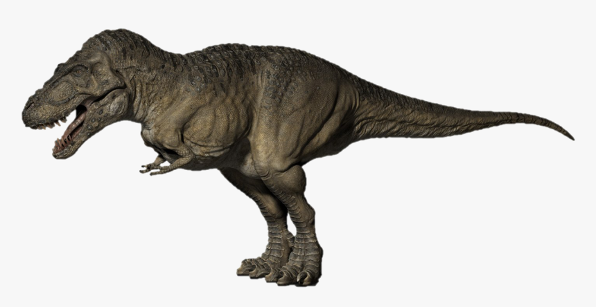 Tyrannosaurus Rex Png Pic - Dinosaur Roamed America Triceratops, Transparent Png, Free Download