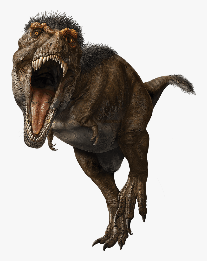 Rex Running With Mouth Open, Showing Many Teeth - T Rex, HD Png Download, Free Download