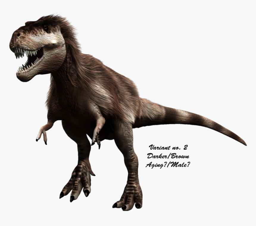 Scientifically Accurate T-rex - Tyrannosaurus Rex Really Look, HD Png Download, Free Download