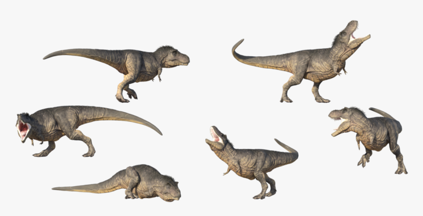 T Rex Png Transparent Image - T Rex Reference, Png Download, Free Download