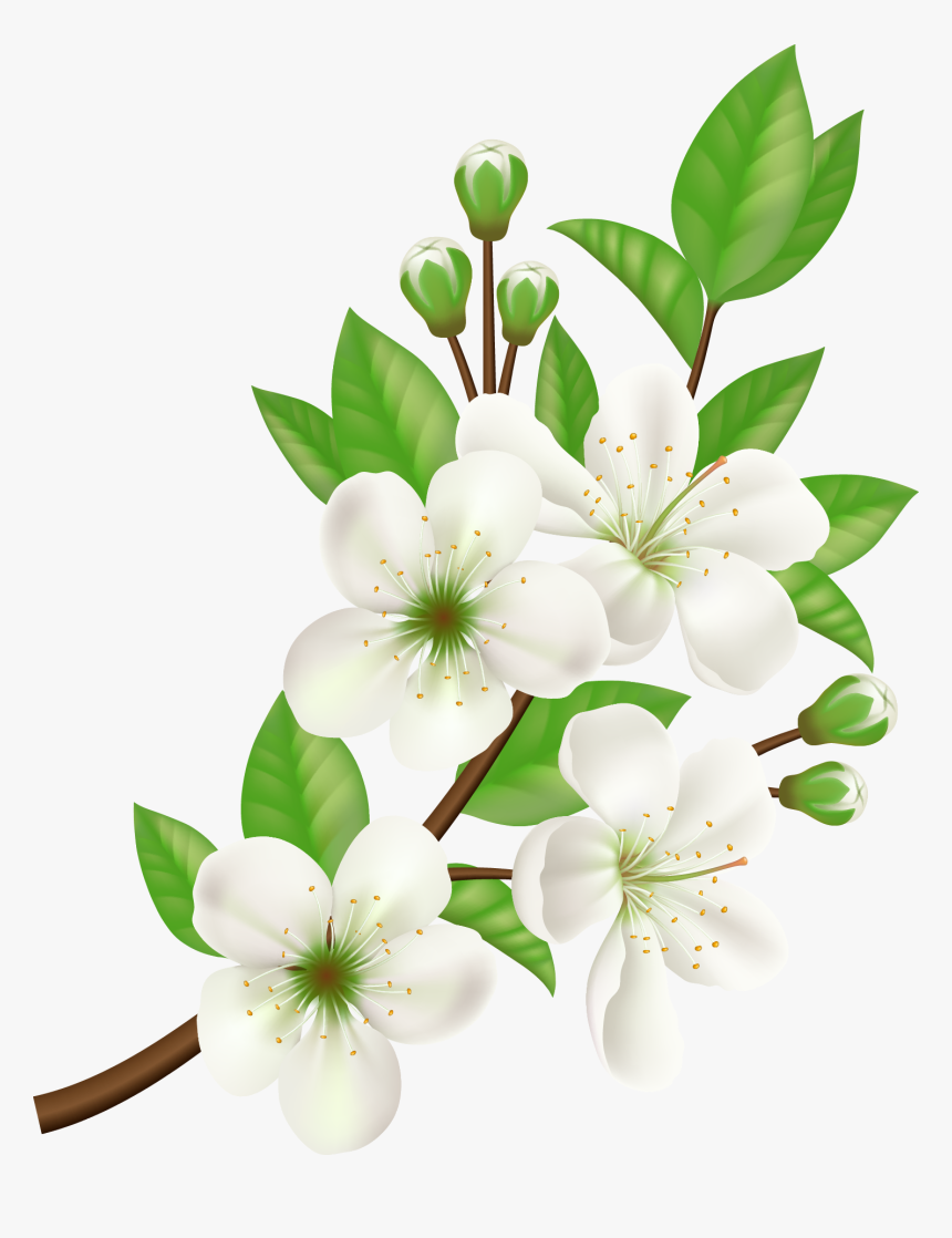 Royalty-free Computer Icons Flower, HD Png Download, Free Download